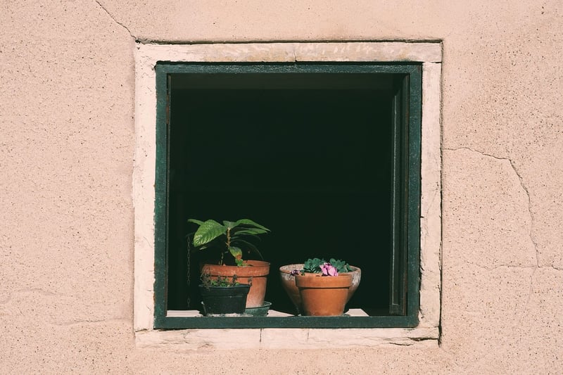 Hanging Planters